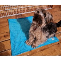 Pee pad for dog (3 sizes)